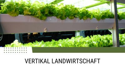 Die vertikale Landwirtschaft: Eine Revolution für die Ernährungssicherheit