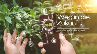 Digitalisierung und Nachhaltigkeit: MABEWO führt den Weg in die Zukunft