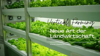 Das Vertical Farming als neue Art der Landwirtschaft